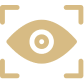 Vision icon